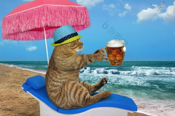 猫饮料啤酒向指已提到的人海岸