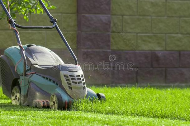 草地割草机锋利的绿色的草采用后院