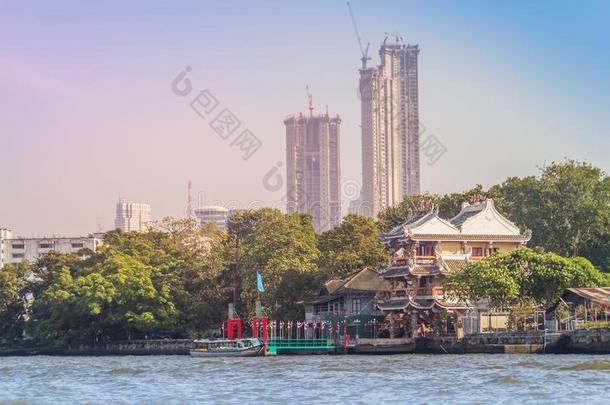 美丽的扇形棕榈细纤维城市风光照片看法从查奥佛拉雅河.扇形棕榈细纤维