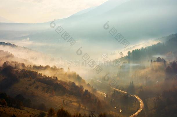 美丽的有雾的背景