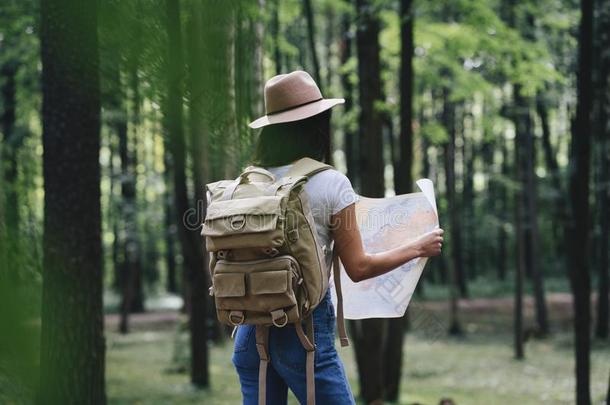 旅行女人阅读地图经过树在森林和搜索的显示文件列表