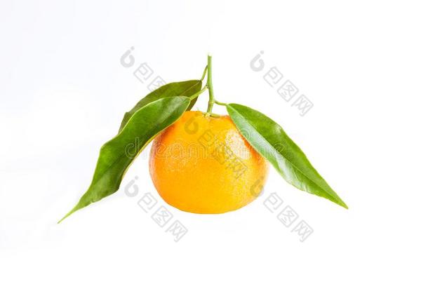 普通话num.一新鲜的多汁的橙隔离的向白色的背景.