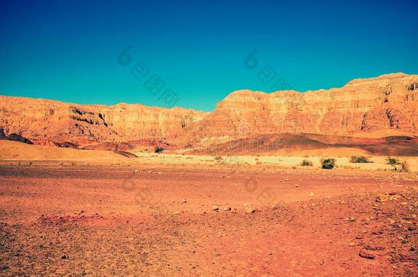 砂岩山采用指已提到的人沙漠.Mounta采用沙漠风景