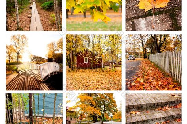 秋拼贴画展映不同的秋风景