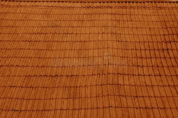 老的不平坦的带状疱疹屋顶和污迹影响采用桔子声调.