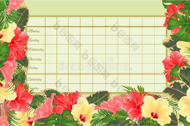 交通工具的运行时间表一周一次的时刻表和木槿各种各样的和手掌,菲洛德