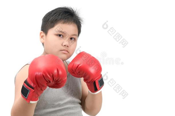 极为肥胖的肥的男孩小孩战斗的和<strong>红色</strong>的<strong>拳击拳击</strong>手套