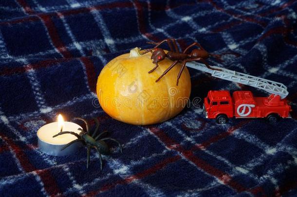南瓜为万圣节前夕,陌生的昆虫和一c和le.指已提到的人玩具一nt