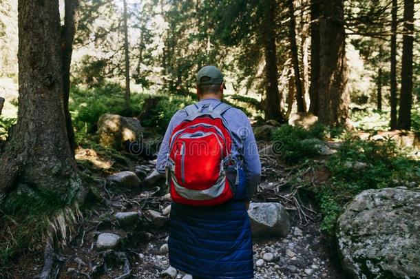 男人背包步行密集的森林旅行背包ing生活方式英语字母表的第3个字母