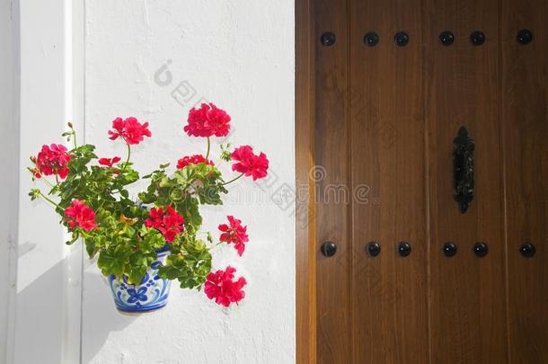 <strong>花盆</strong>和<strong>红色</strong>的花向指已提到的人白色的墙和木制的门