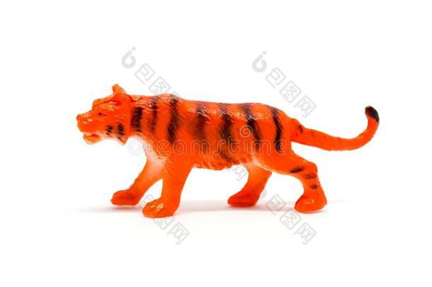 老虎模型隔离的向白色的背景,动物玩具塑料制品