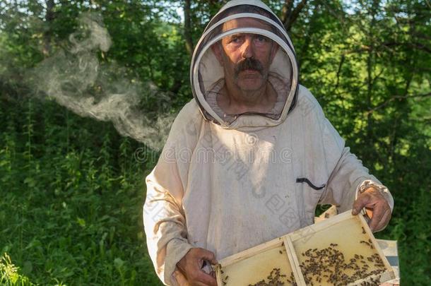肖像关于乌克兰人农民工作的采用自己的事物蜜蜂院子