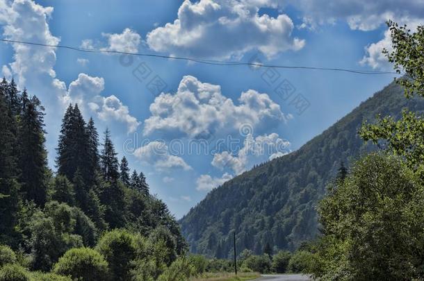 山风景,路,植物,山