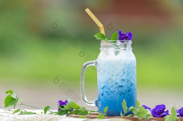 冰冷的蓝色豌豆奶或冰冷的蝴蝶豌豆拿铁咖啡和奶健康的