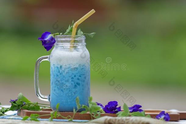 冰冷的蓝色豌豆奶或冰冷的蝴蝶豌豆拿铁咖啡和奶健康的