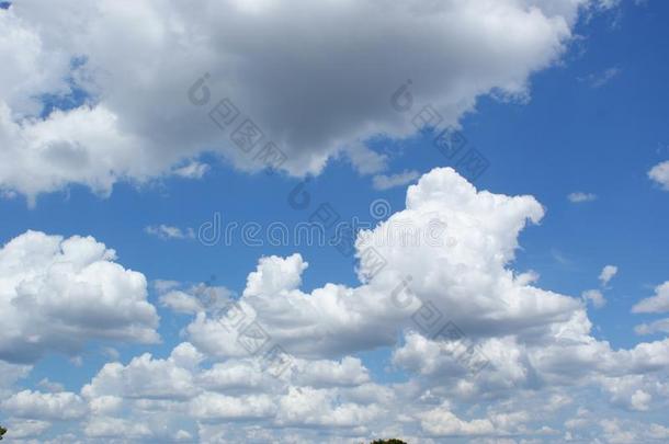 一地平线和蓝色天和白色的和灰色云
