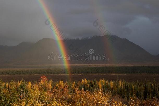 双的彩虹向公园公路采用美国阿拉斯加州