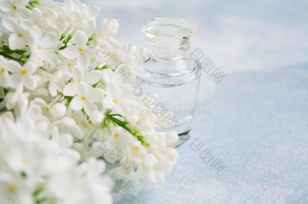 芳香向玻璃瓶子为香水和白色的丁香花属