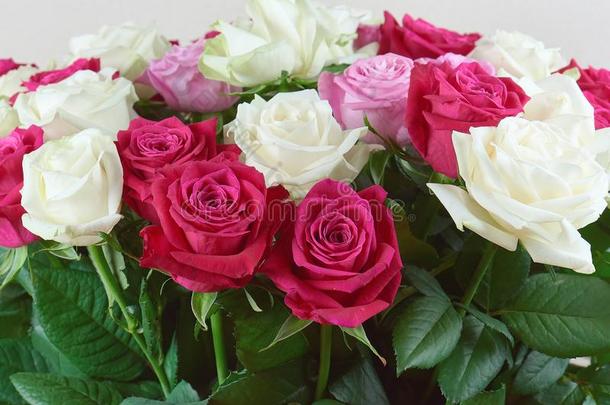 一大大地花束关于红色的,粉红色的和白色的玫瑰关-在上面.<strong>恭喜</strong>