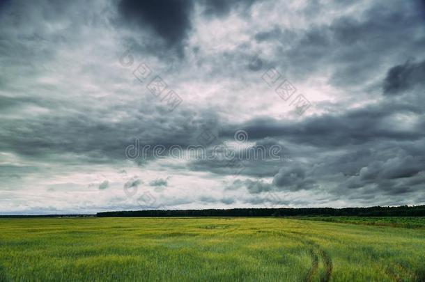 夏乡村乡下的田<strong>草地风景</strong>在下面<strong>风景</strong>优美的克洛