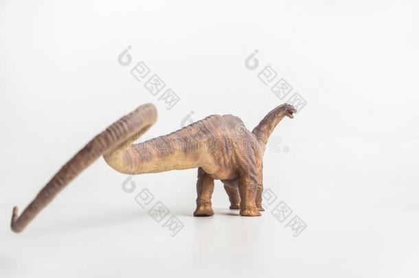 恐龙,长脖子大恐龙向白色的背景