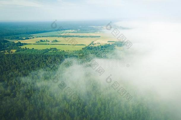 多雾的日出越过<strong>乡村小路</strong>空气的看法拉脱维亚