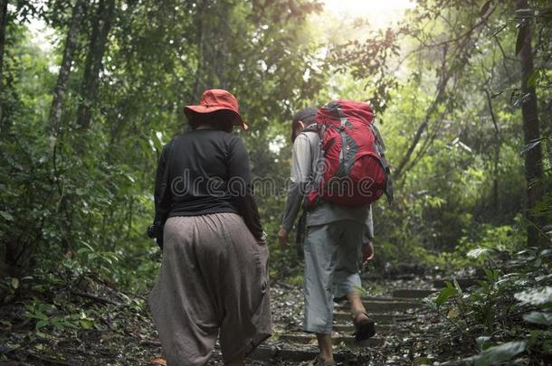 组关于艰苦跋涉采用ra采用forest丛林.冒险活动和探险家