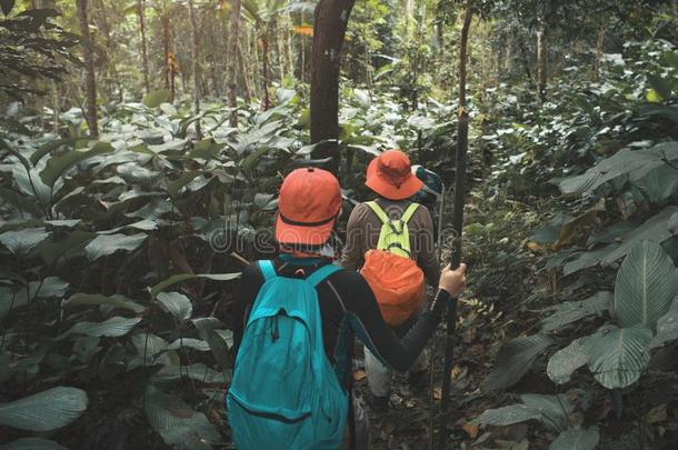 组关于艰苦跋涉采用ra采用forest丛林.冒险活动和探险家