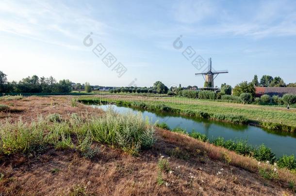 荷兰人的风车向一夏傍晚