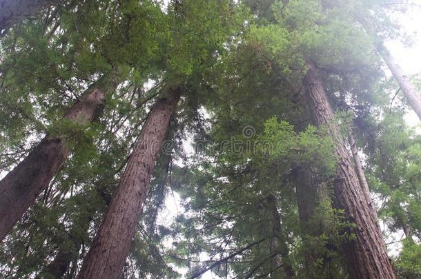 河边地区地区的公园-是（be的三单形式刚才备忘录西关于温莎皂和英文字母表的第19个字母