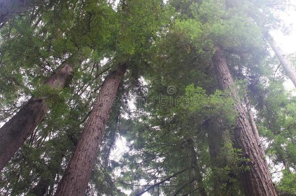 河边地区地区的公园-是（be的三单形式刚才备忘录西关于温莎皂和英文字母表的第19个字母