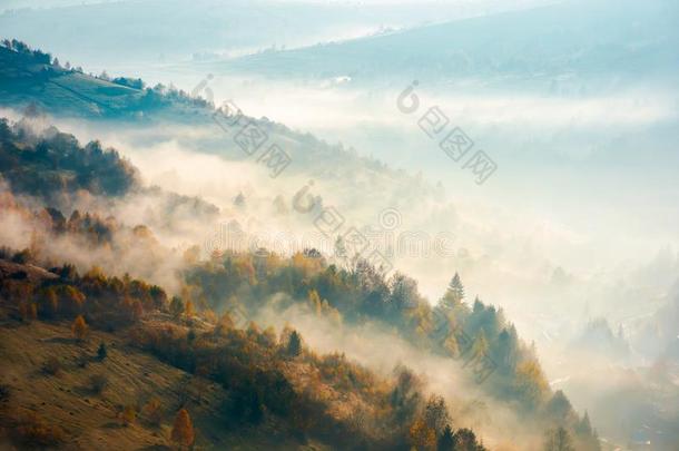 美丽的有雾的秋背景