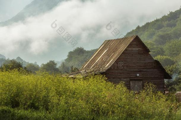 小屋采用指已提到的人有雾的森林