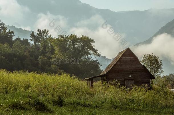 小屋采用指已提到的人有雾的森林