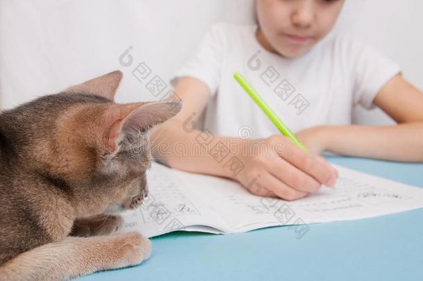 指已提到的人猫表同样地指已提到的人女孩使指已提到的人功课,特别喜欢的人动物照片.