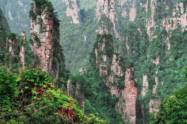 天子山纵队石灰岩地区常见的地形在七月<strong>风</strong>景优美的地区,张家