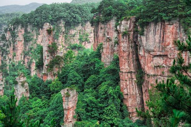 天子山纵队石灰岩地区常见的地形在七月<strong>风</strong>景优美的地区,张家