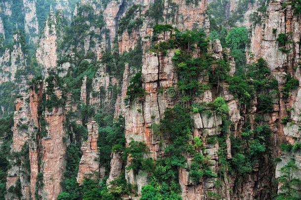 天子山纵队石灰岩地区常见的地形在七月风景优美的地区,张家