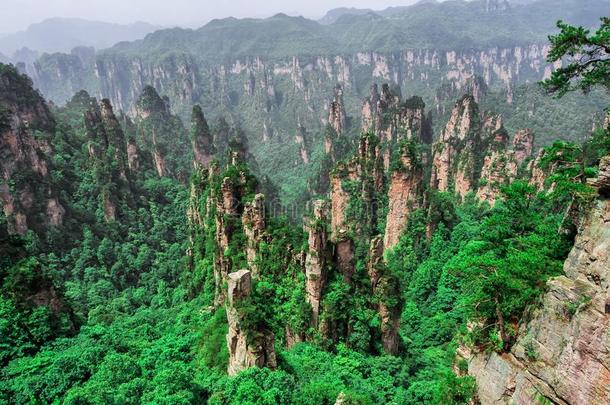 天子山纵队石灰岩地区常见的地形在七月风景优美的地区,张家