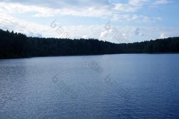美丽的安静的风景和小的森林湖