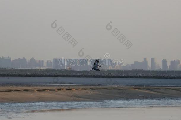 鹭开销指已提到的人一天采用TianJ采用look采用g为蟹