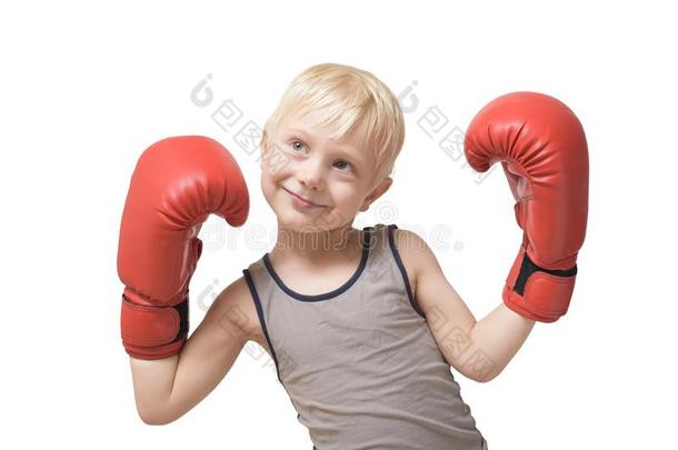 可爱的亚麻色的男孩采用红色的box采用g拳击手套.有关运动的观念.使隔离