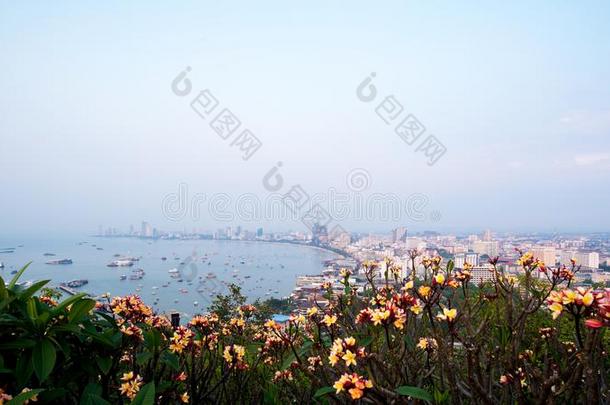 指已提到的人最美丽的观点芭堤雅海滩采用芭堤雅城市Chonb