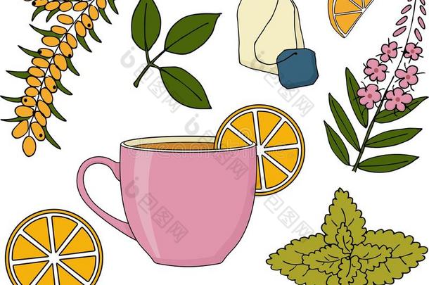 药草的茶水放置.药草的茶水杯子,植物和成果光栅illust