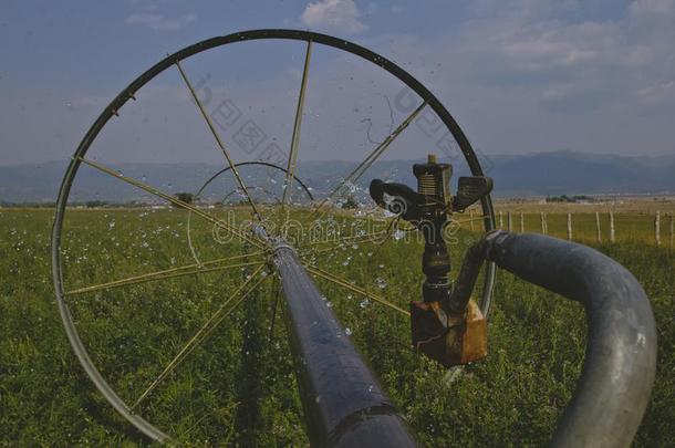 长的看法下指已提到的人长的<strong>洒水洒水</strong>器向指已提到的人农场