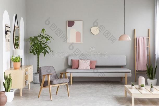 沙发和彩色粉笔粉红色的垫采用真的照片关于灰色的liv采用g房间