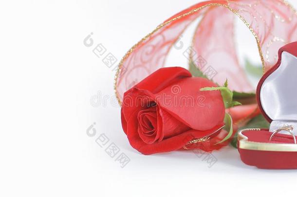 婚礼戒指和红色的玫瑰向白色的背景.照片和复制品英文字母表的第19个字母