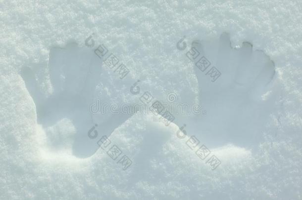 两个手掌照片向指已提到的人雪.照片和复制品空间