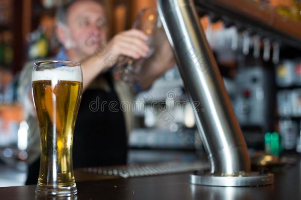 玻璃关于啤酒向条柜台反对背景关于友好的条t