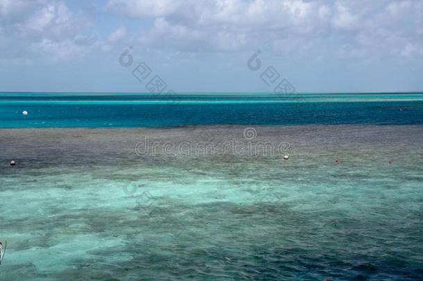 美丽的蓝色洋向伟大的障碍礁